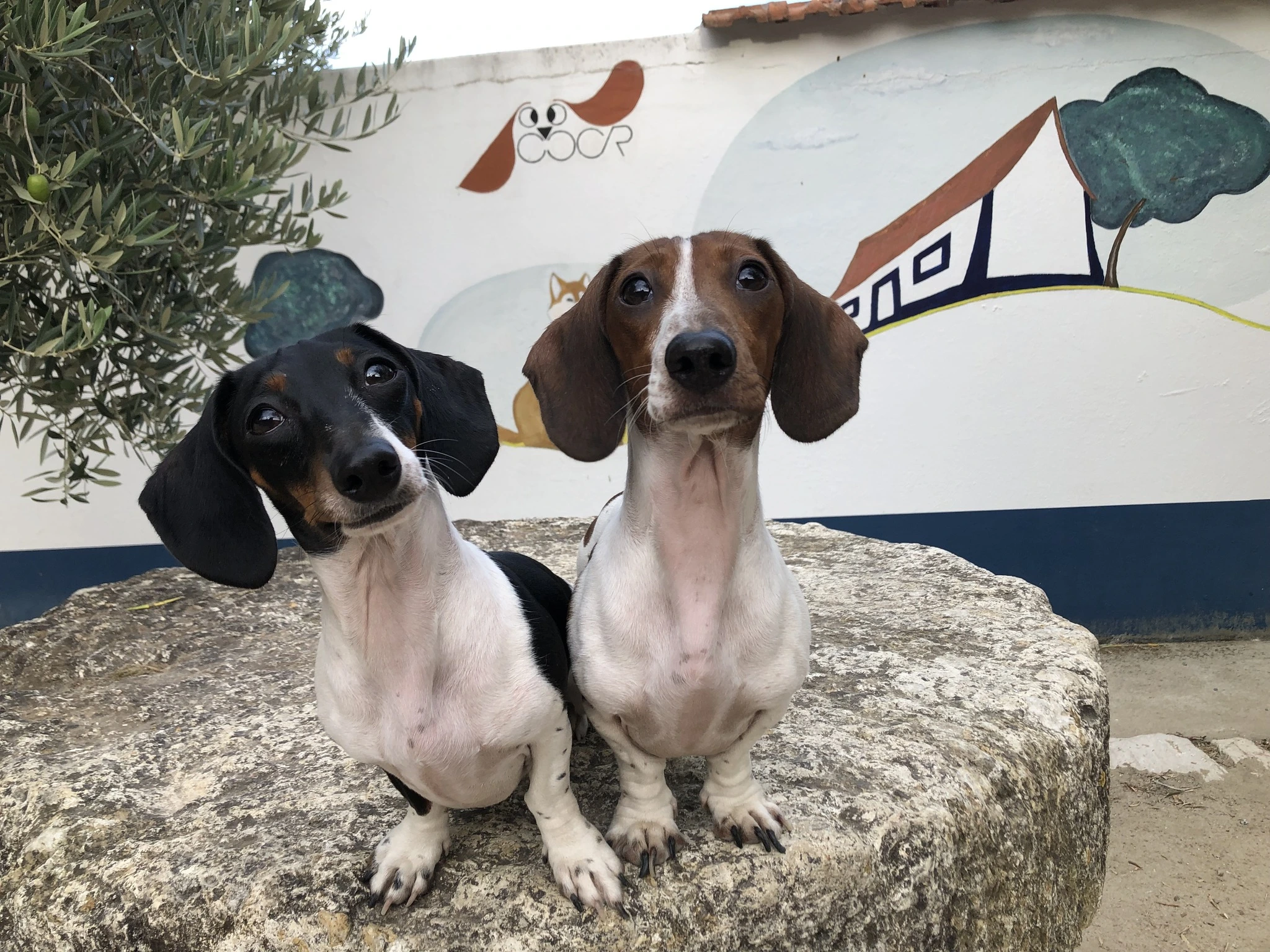 Hotel para animais vertical