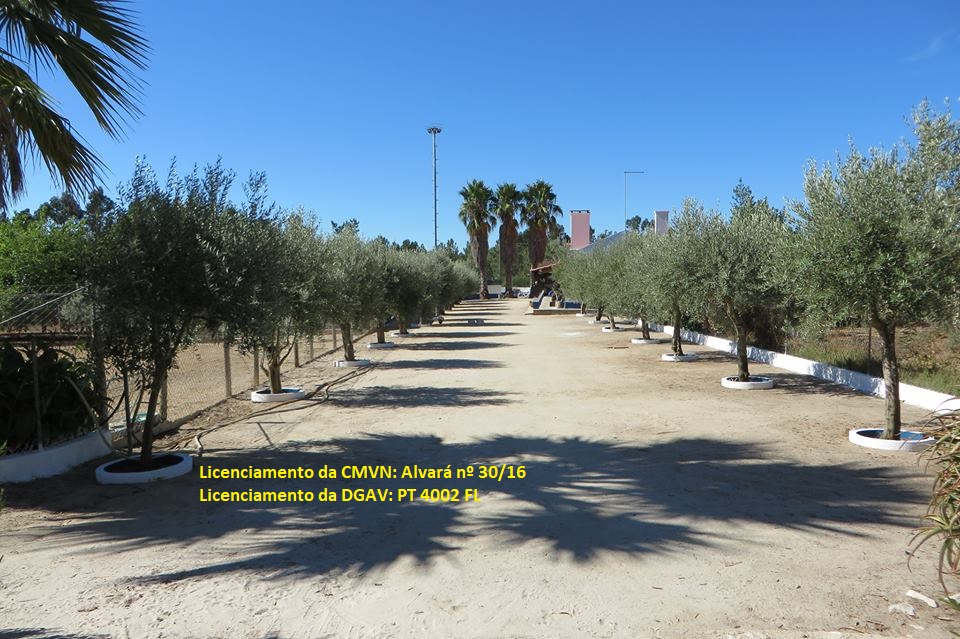 Hotel para animais horizontal